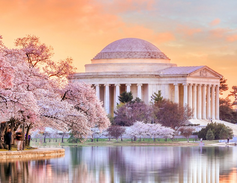 Jefferson Memorial during the Cherry Blossom Festival
